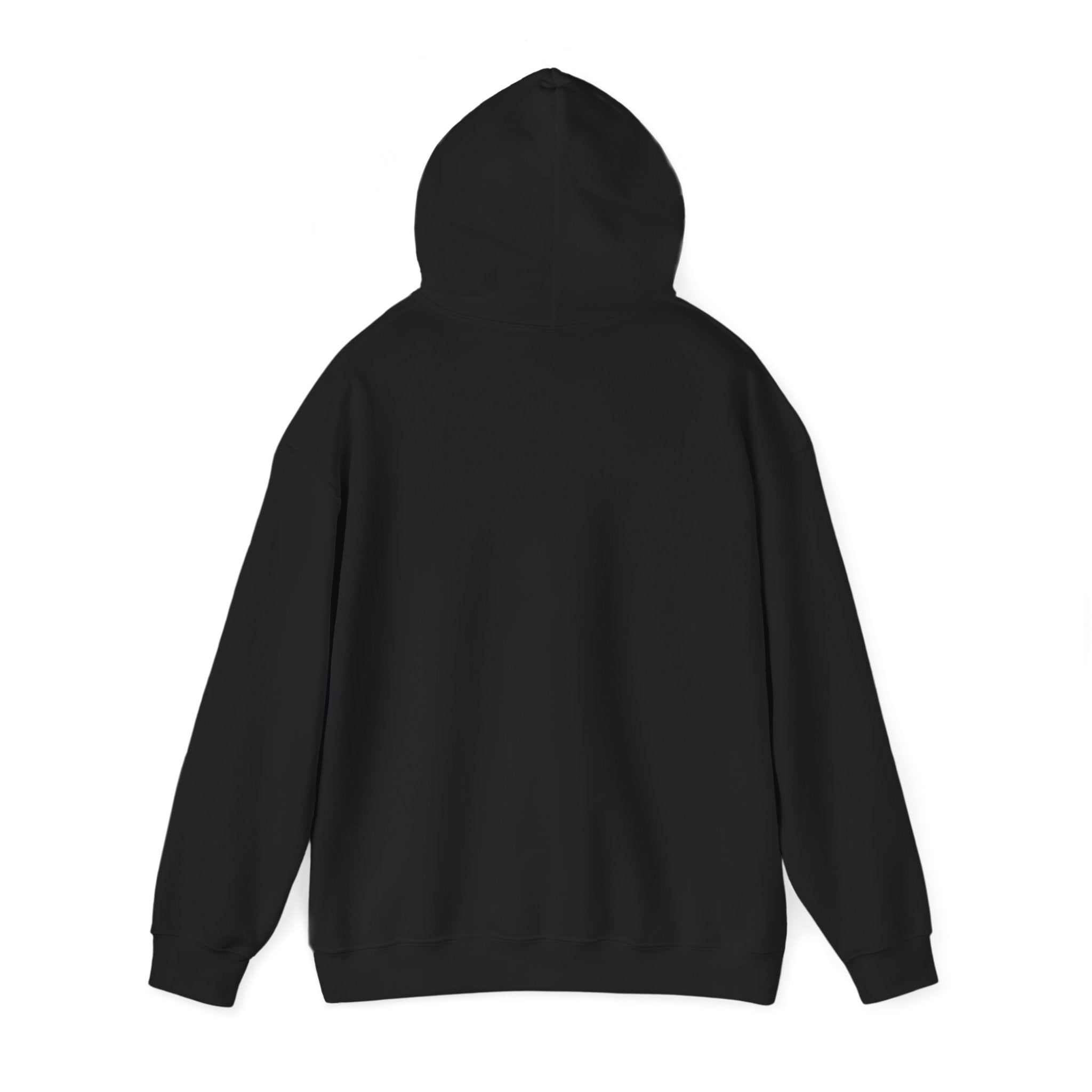 Evolution Studios Black Pullover Hoodie