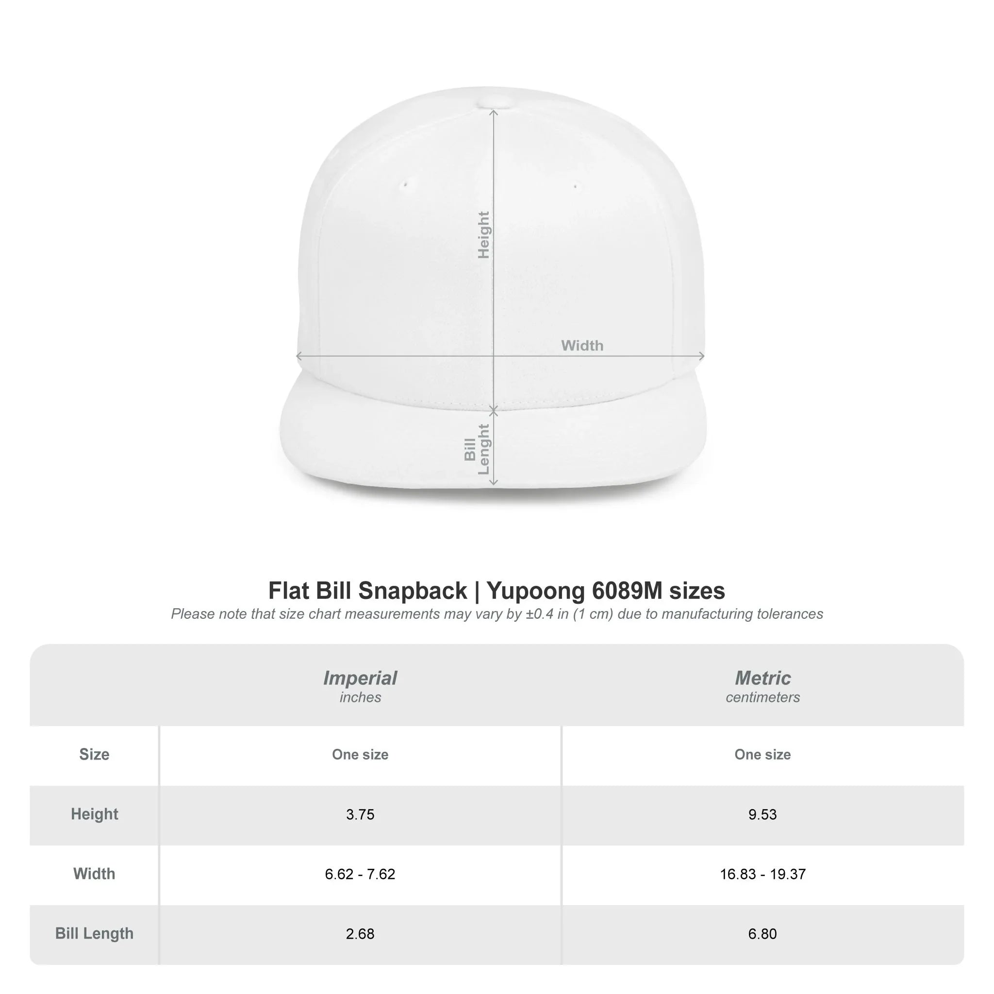 Buffalo Experience Flat Bill Snapback