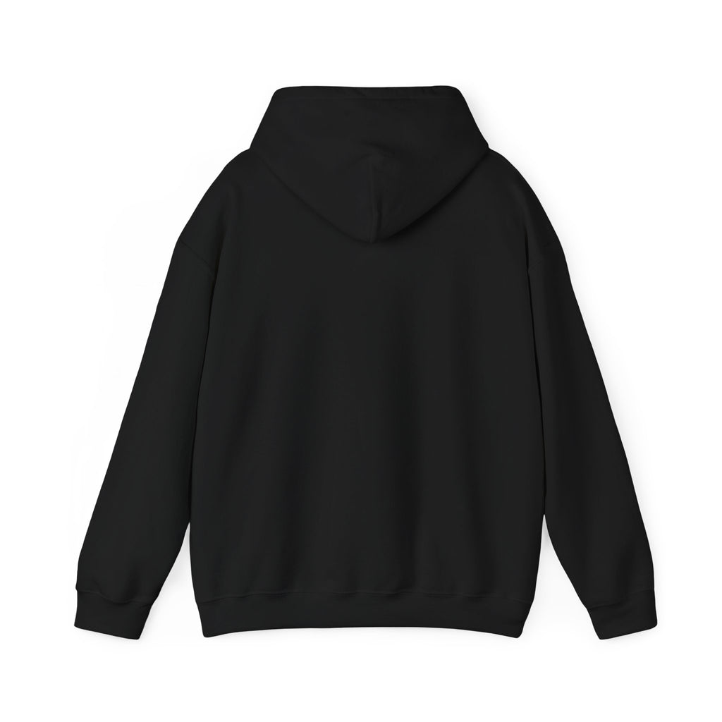 Evolution Studios Black Pullover Hoodie